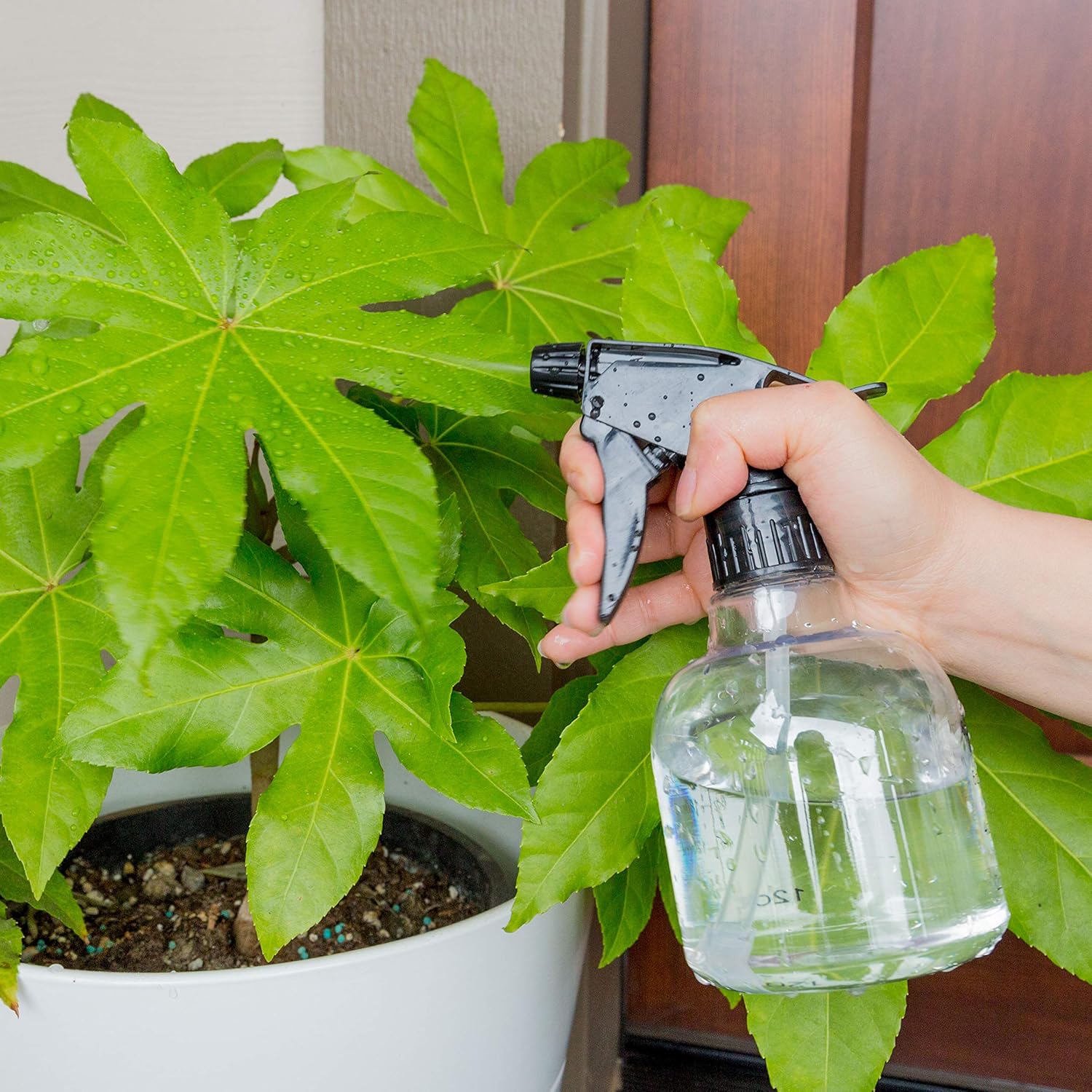 Butelki z rozpylaczem Youngever 6x 237ml spryskiwacz zestaw