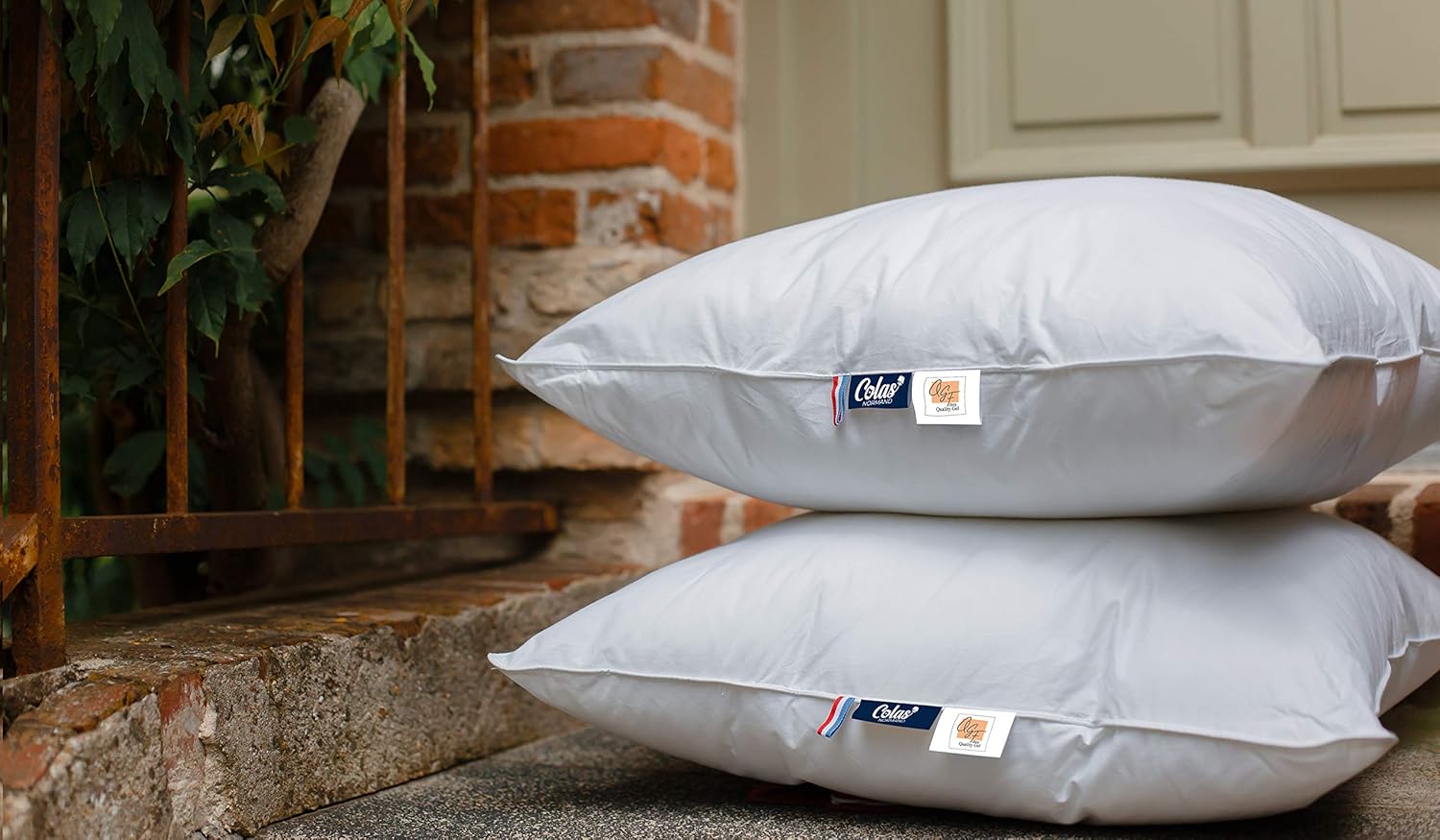Poduszka Colas 60x60 cm perkal bawełna miękka hotelowa komfort